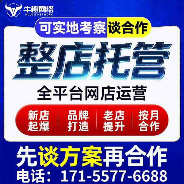 滕州电商代运营