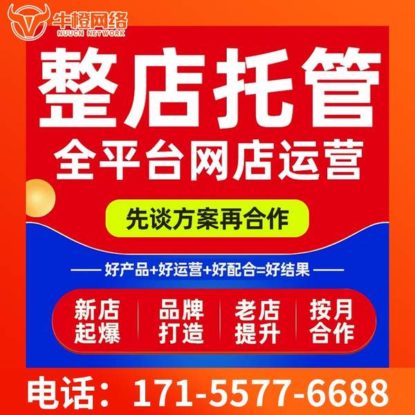 滕州电商代运营