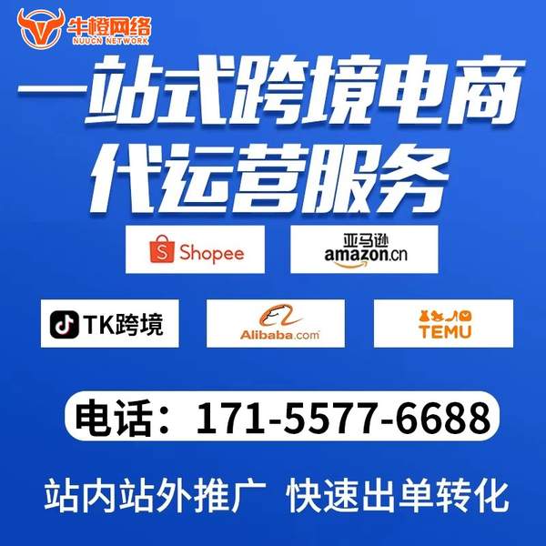 滕州电商代运营